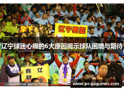 辽宁球迷心痛的6大原因揭示球队困境与期待