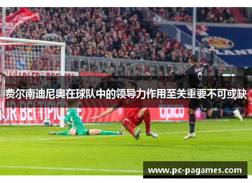 费尔南迪尼奥在球队中的领导力作用至关重要不可或缺