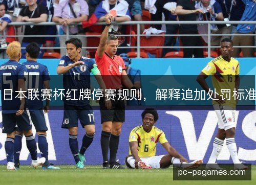 日本联赛杯红牌停赛规则，解释追加处罚标准